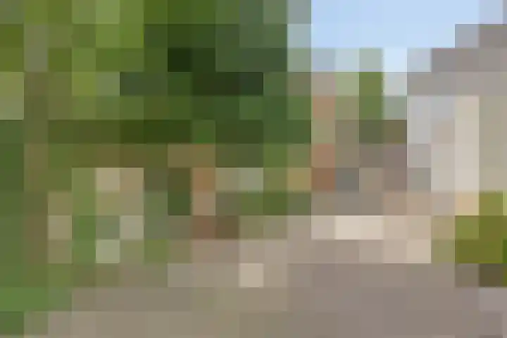 Asterstraat 8 Oss thumbnail 29