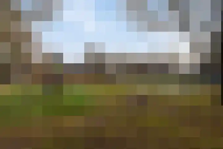 Asterstraat 8 Oss thumbnail 31