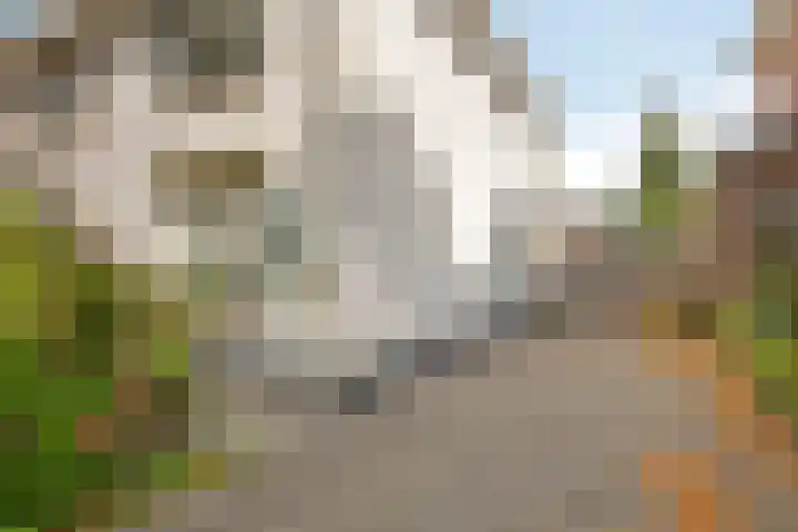 Asterstraat 8 Oss thumbnail 4