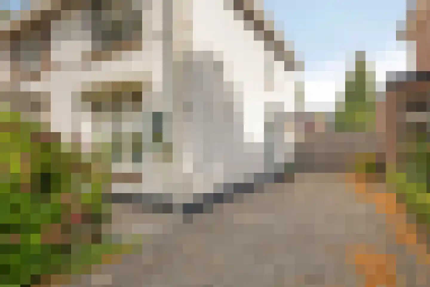 Asterstraat 8 Oss thumbnail 4
