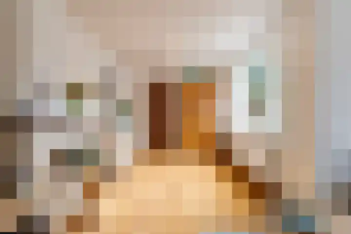 Asterstraat 8 Oss thumbnail 7