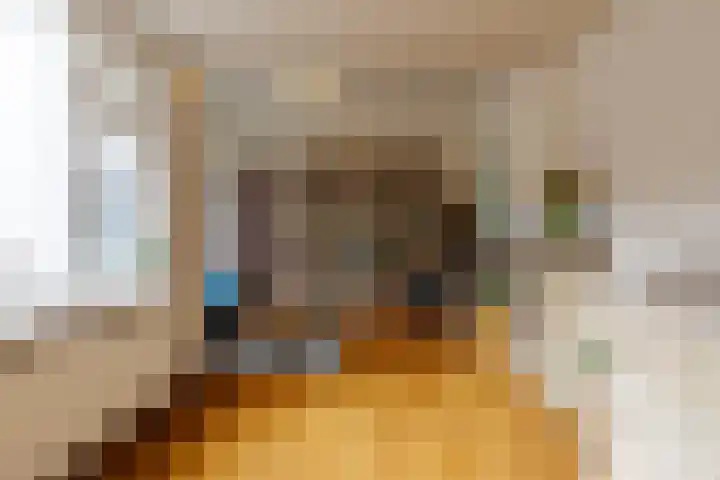 Asterstraat 8 Oss thumbnail 8