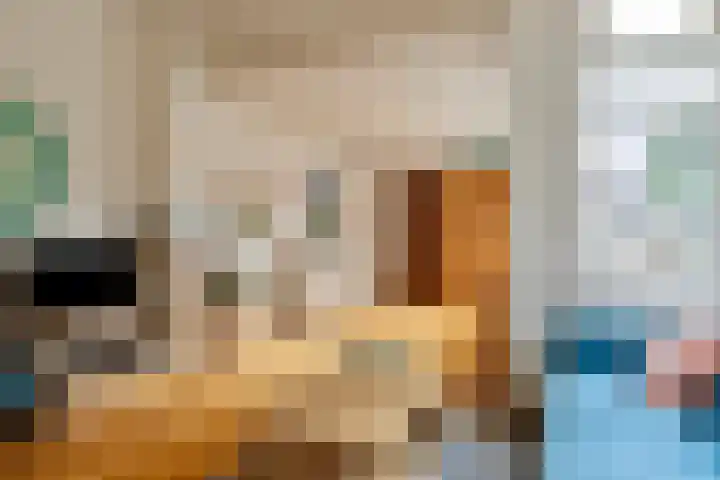 Asterstraat 8 Oss thumbnail 9