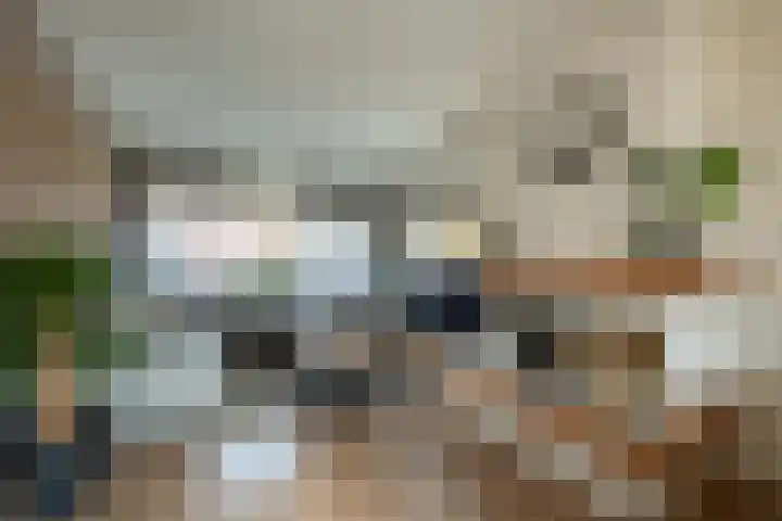 Asterstraat 8 Wierden thumbnail 10
