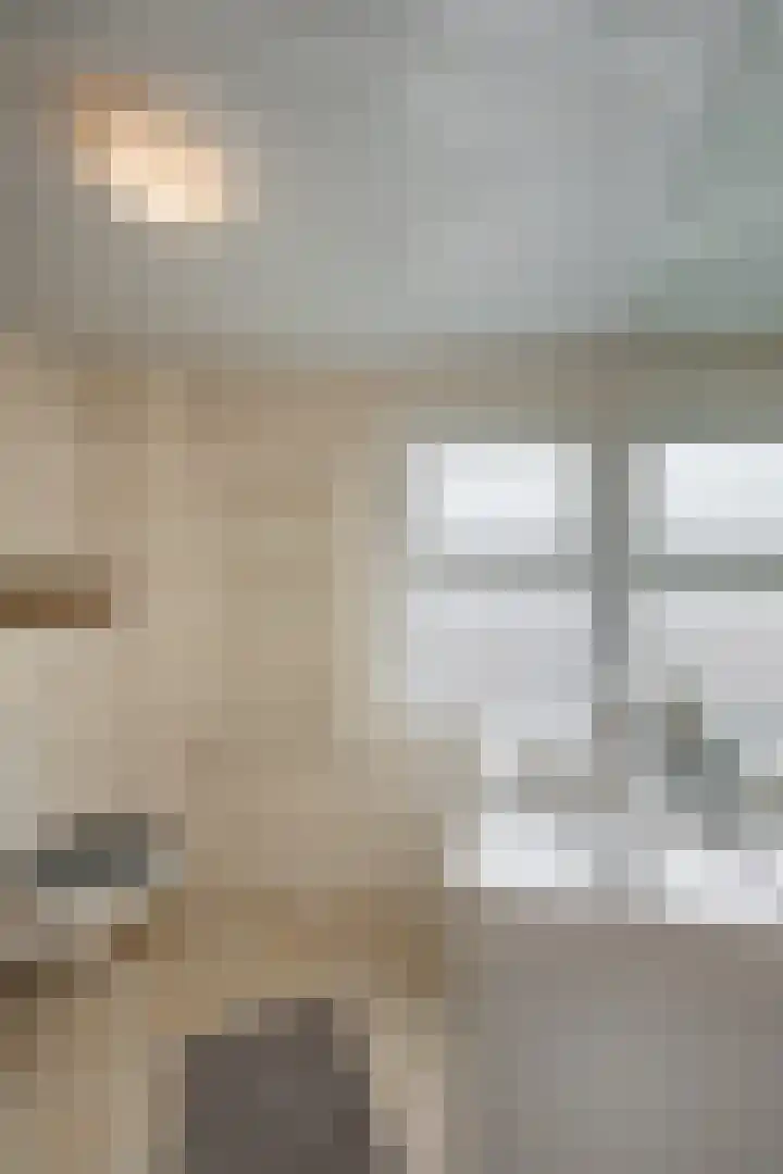 Asterstraat 8 Wierden thumbnail 17