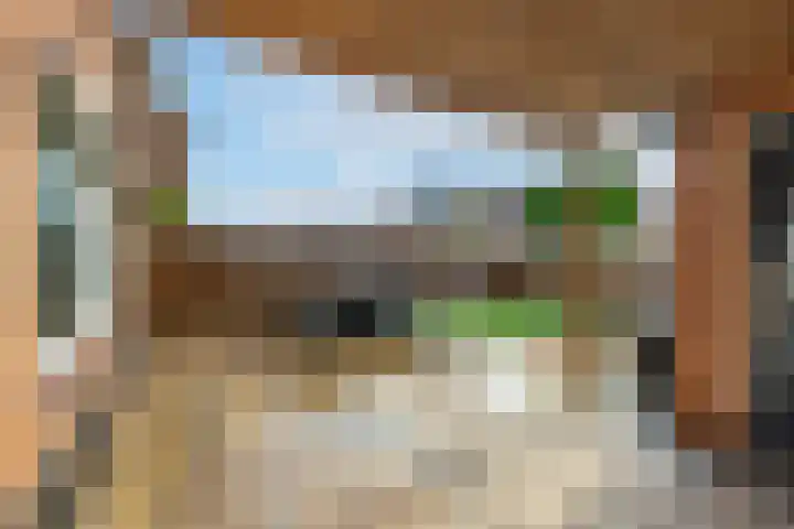 Asterstraat 8 Wierden thumbnail 21