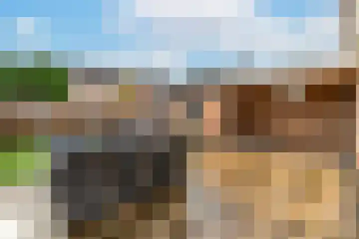 Asterstraat 8 Wierden thumbnail 22