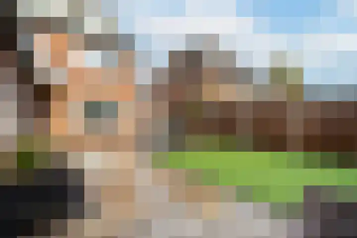 Asterstraat 8 Wierden thumbnail 23