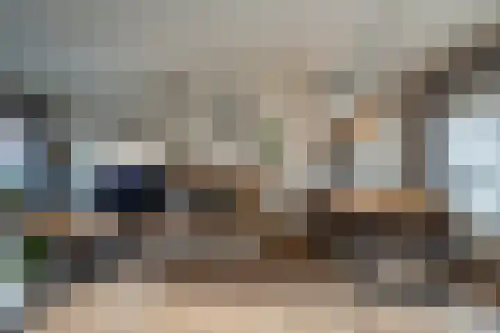 Asterstraat 8 Wierden thumbnail 8
