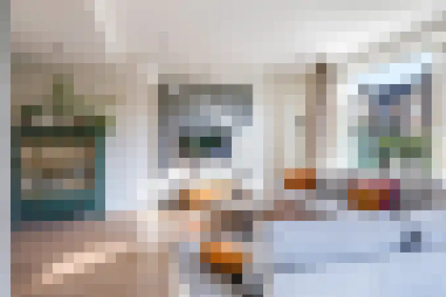 Asterstraat 8 Zeddam thumbnail 13