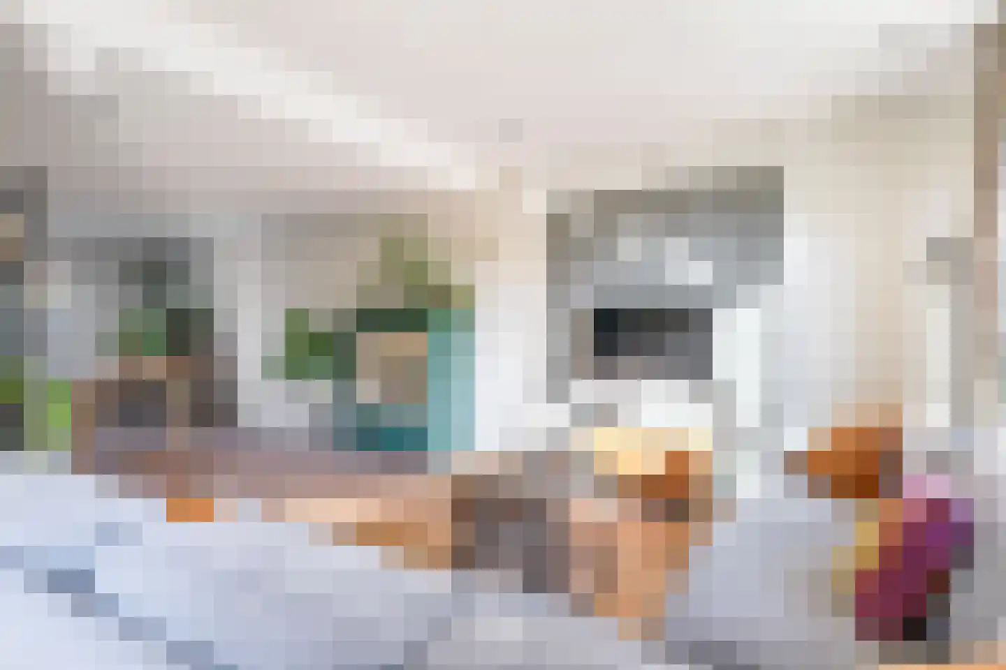Asterstraat 8 Zeddam thumbnail 14