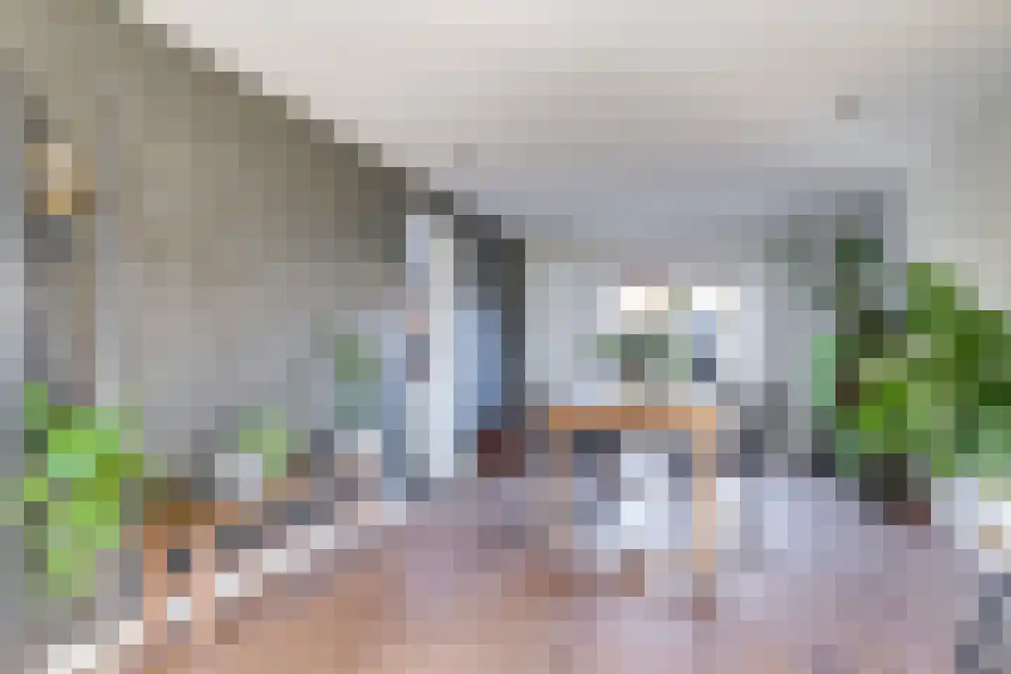 Asterstraat 8 Zeddam thumbnail 20