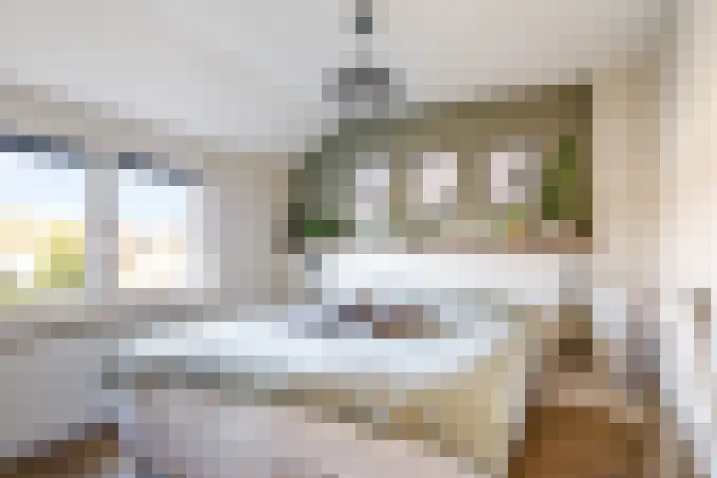 Asterstraat 8 Zeddam thumbnail 41