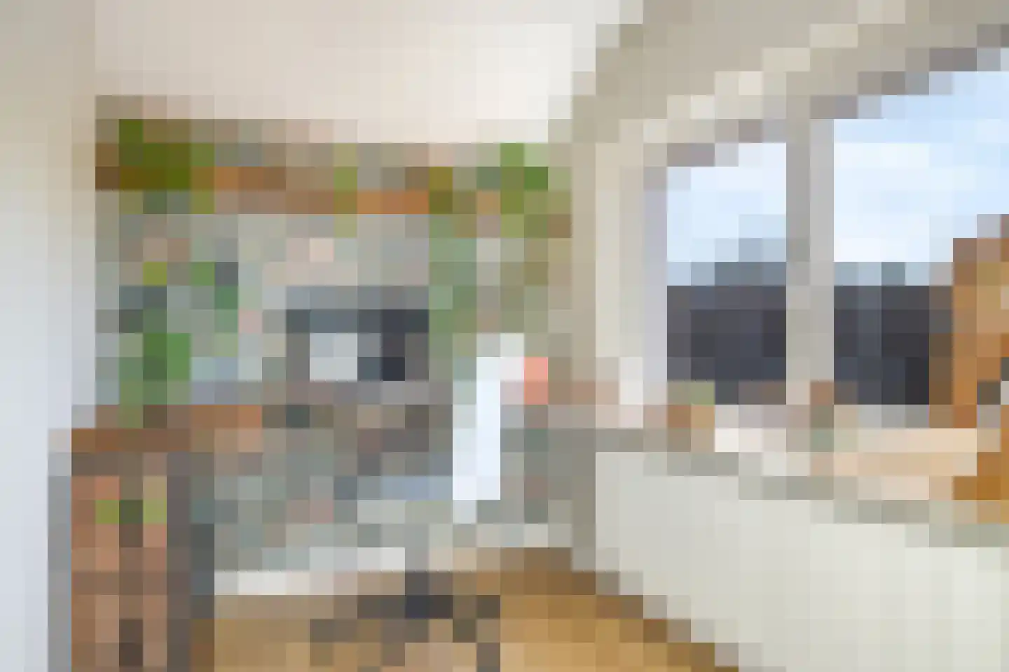 Asterstraat 8 Zeddam thumbnail 48