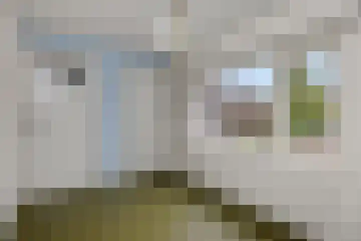 Asterstraat 9 Rosmalen thumbnail 12