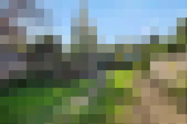 Asterstraat 9 Rosmalen thumbnail 15