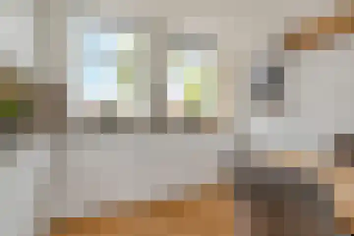 Astertuin 12 Bergschenhoek thumbnail 15