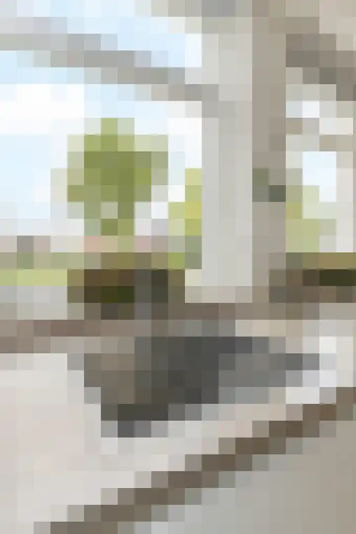 Astertuin 12 Bergschenhoek thumbnail 17