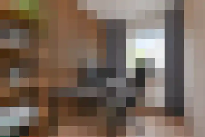 Astertuin 12 Bergschenhoek thumbnail 33