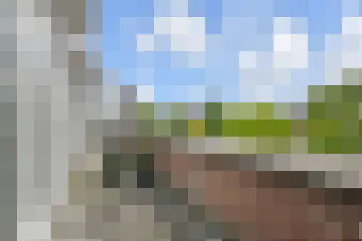 Astertuin 12 Bergschenhoek thumbnail 43