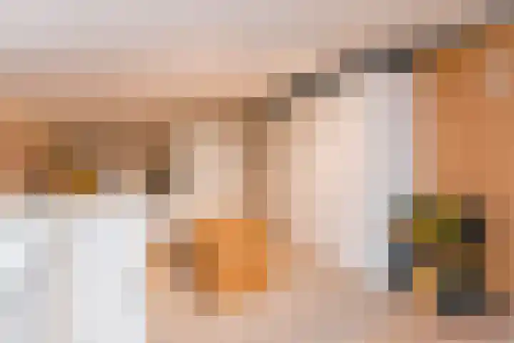 Astertuin 12 Bergschenhoek thumbnail 45