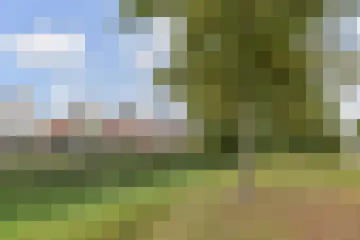 Astertuin 12 Bergschenhoek thumbnail 49
