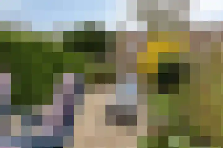 Astertuin 19 Zoetermeer thumbnail 12