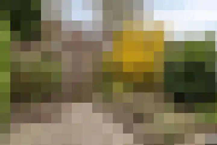 Astertuin 19 Zoetermeer thumbnail 13
