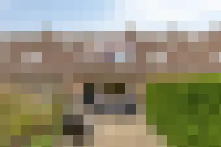 Astertuin 19 Zoetermeer thumbnail 14