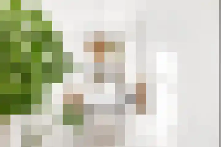 Astertuin 19 Zoetermeer thumbnail 21
