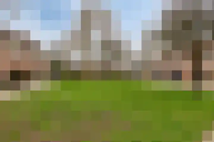 Astertuin 19 Zoetermeer thumbnail 31