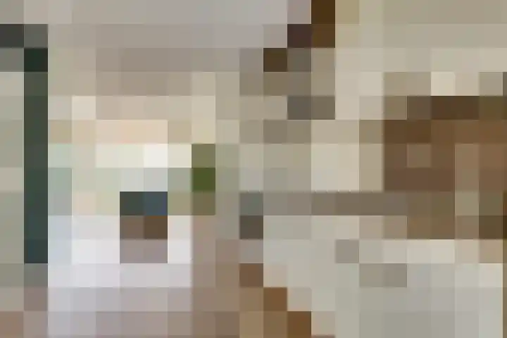 Astertuin 7 Bergschenhoek thumbnail 13
