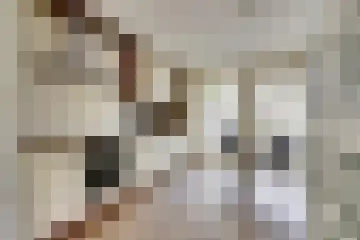 Astertuin 7 Bergschenhoek thumbnail 14