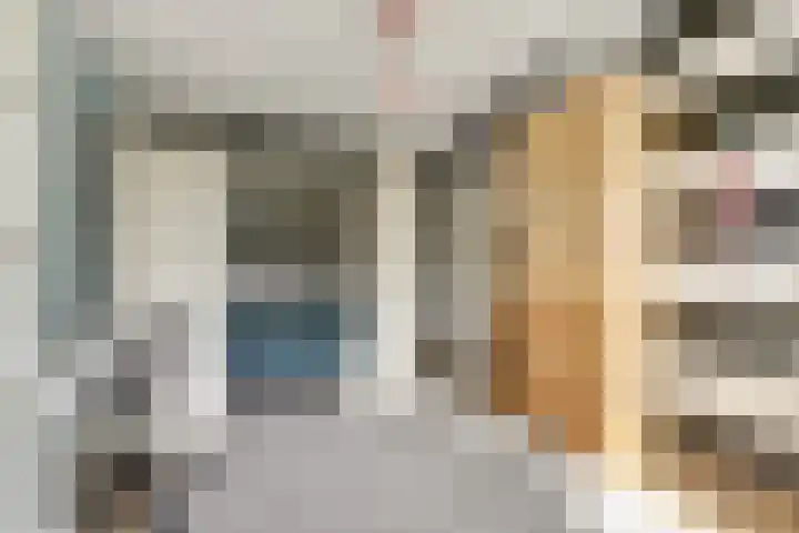 Astertuin 7 Bergschenhoek thumbnail 17