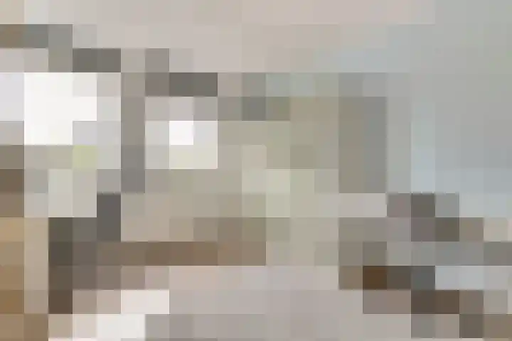 Astertuin 7 Bergschenhoek thumbnail 18