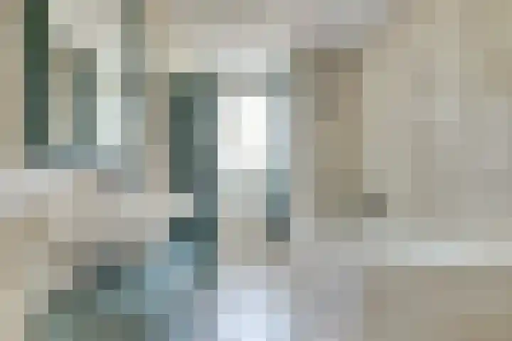 Astertuin 7 Bergschenhoek thumbnail 20