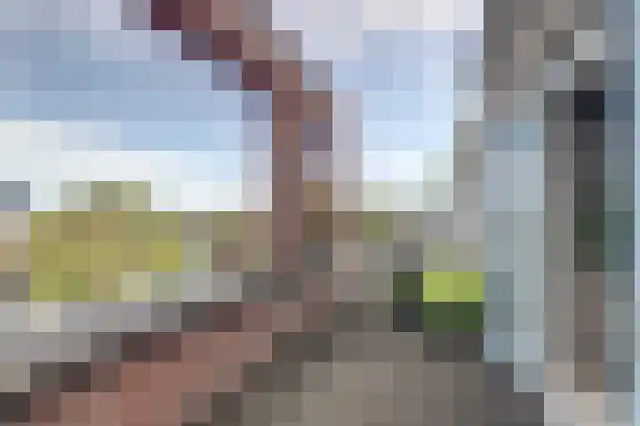Astertuin 7 Bergschenhoek thumbnail 27