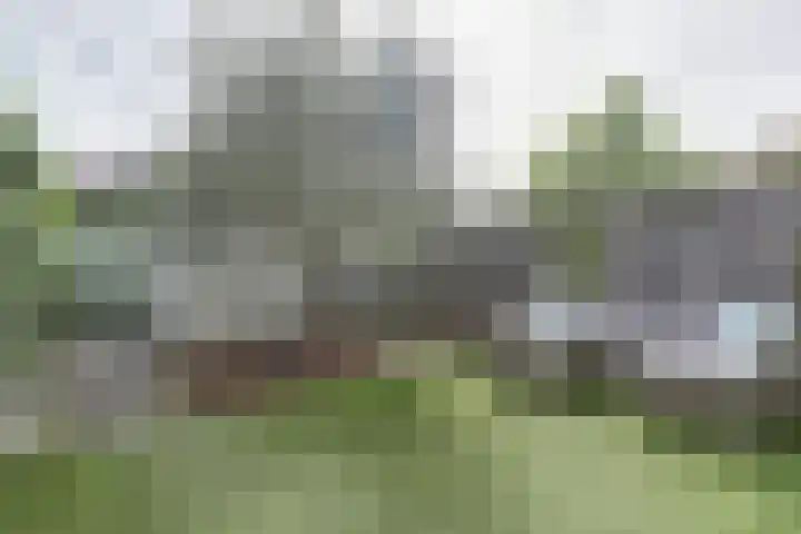 Astertuin 7 Bergschenhoek thumbnail 29