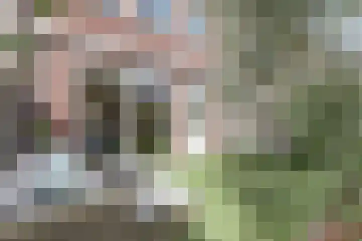 Astertuin 7 Bergschenhoek thumbnail 32