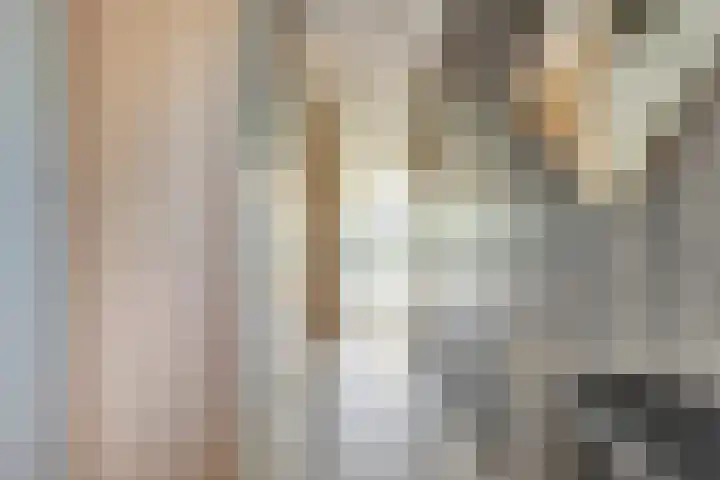 Astertuin 7 Bergschenhoek thumbnail 8