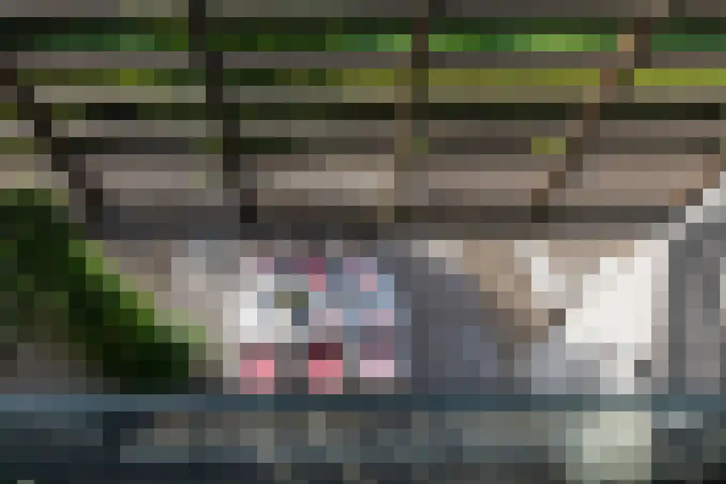 Astraweg 1 Hattem thumbnail 33