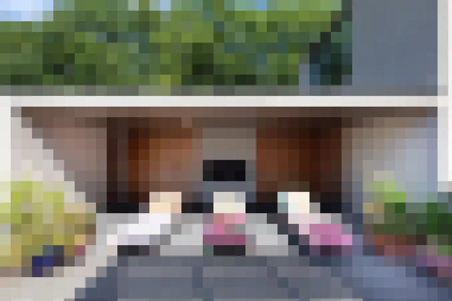 Astraweg 1 Hattem thumbnail 39
