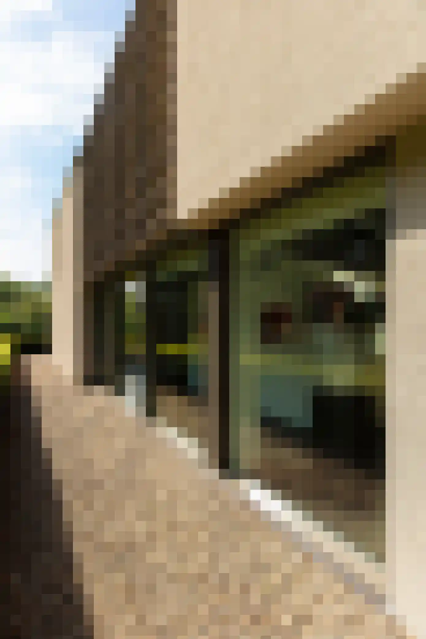 Astraweg 1 Hattem thumbnail 51