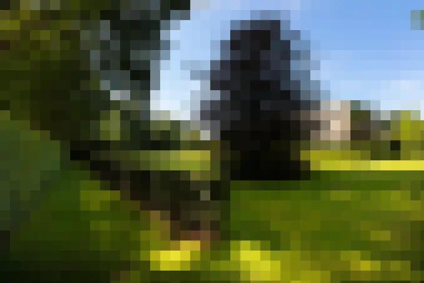 Astraweg 1 Hattem thumbnail 57