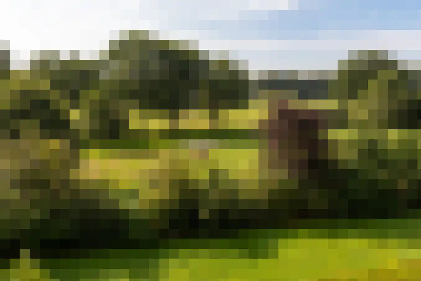 Astraweg 1 Hattem thumbnail 59