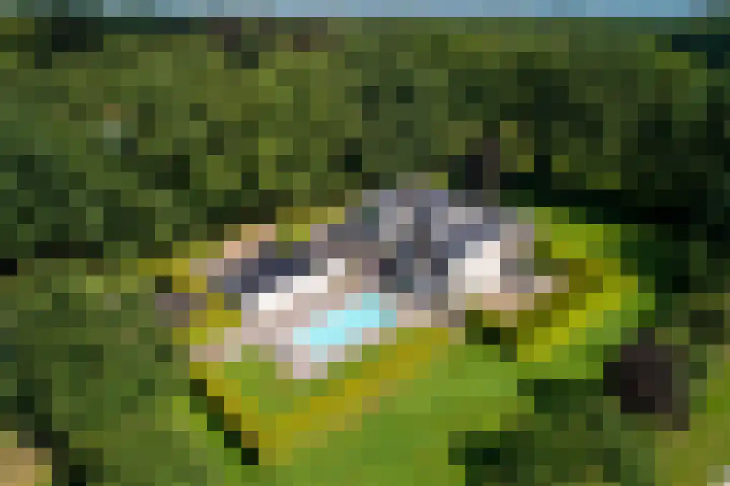 Astraweg 1 Hattem thumbnail 61
