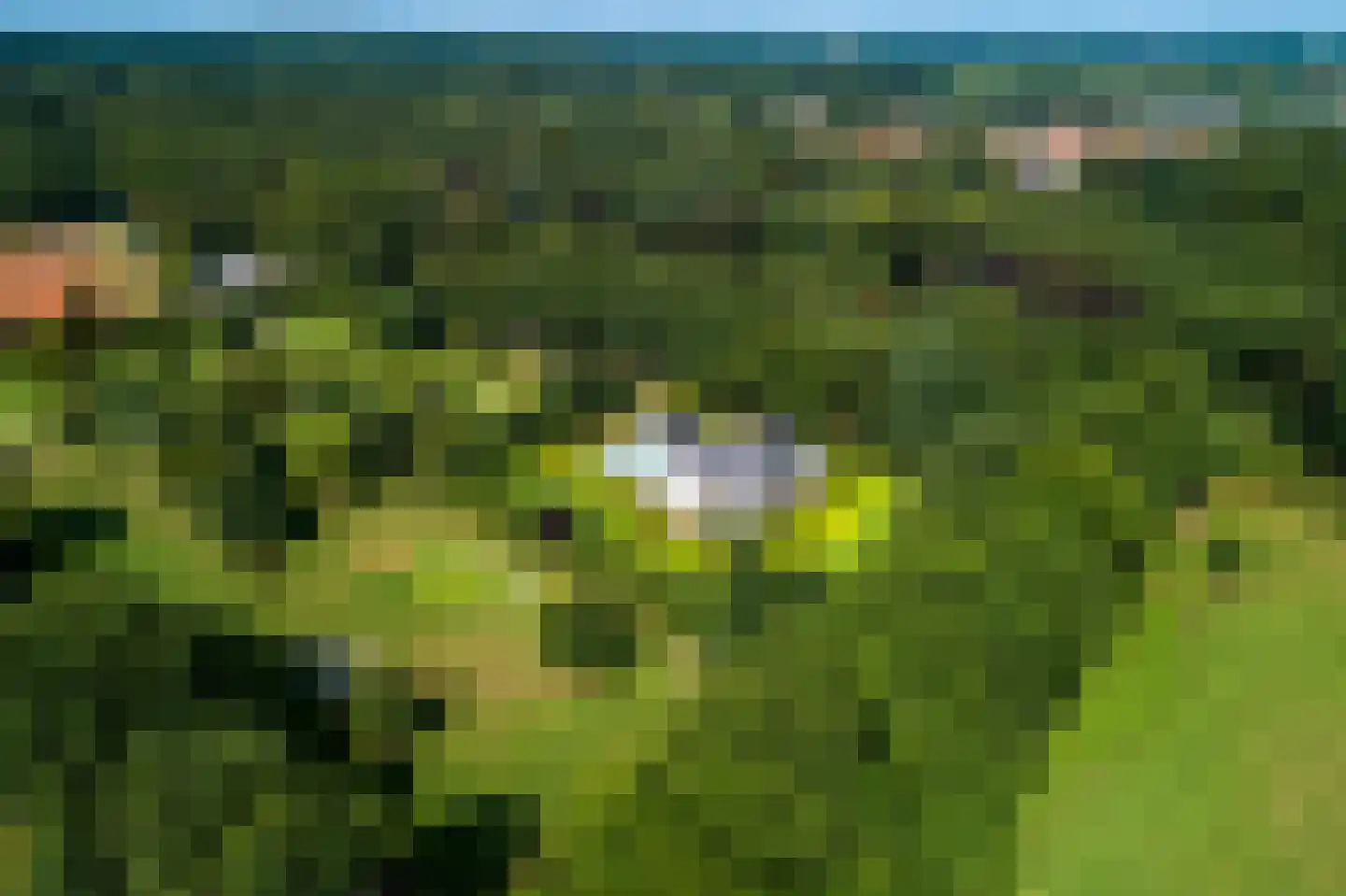 Astraweg 1 Hattem thumbnail 64