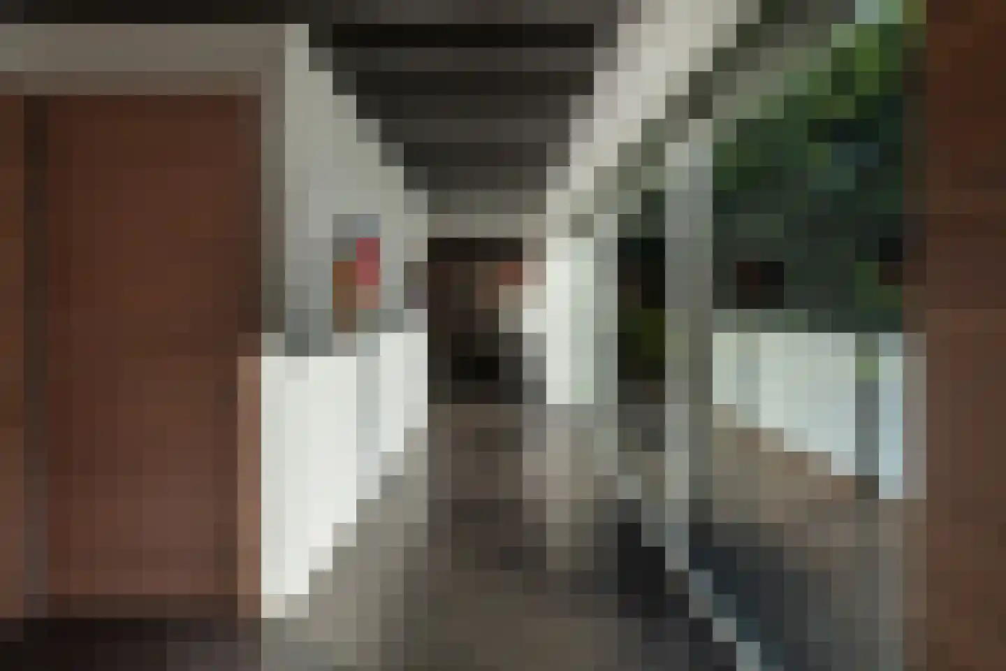 Astraweg 1 Hattem thumbnail 8