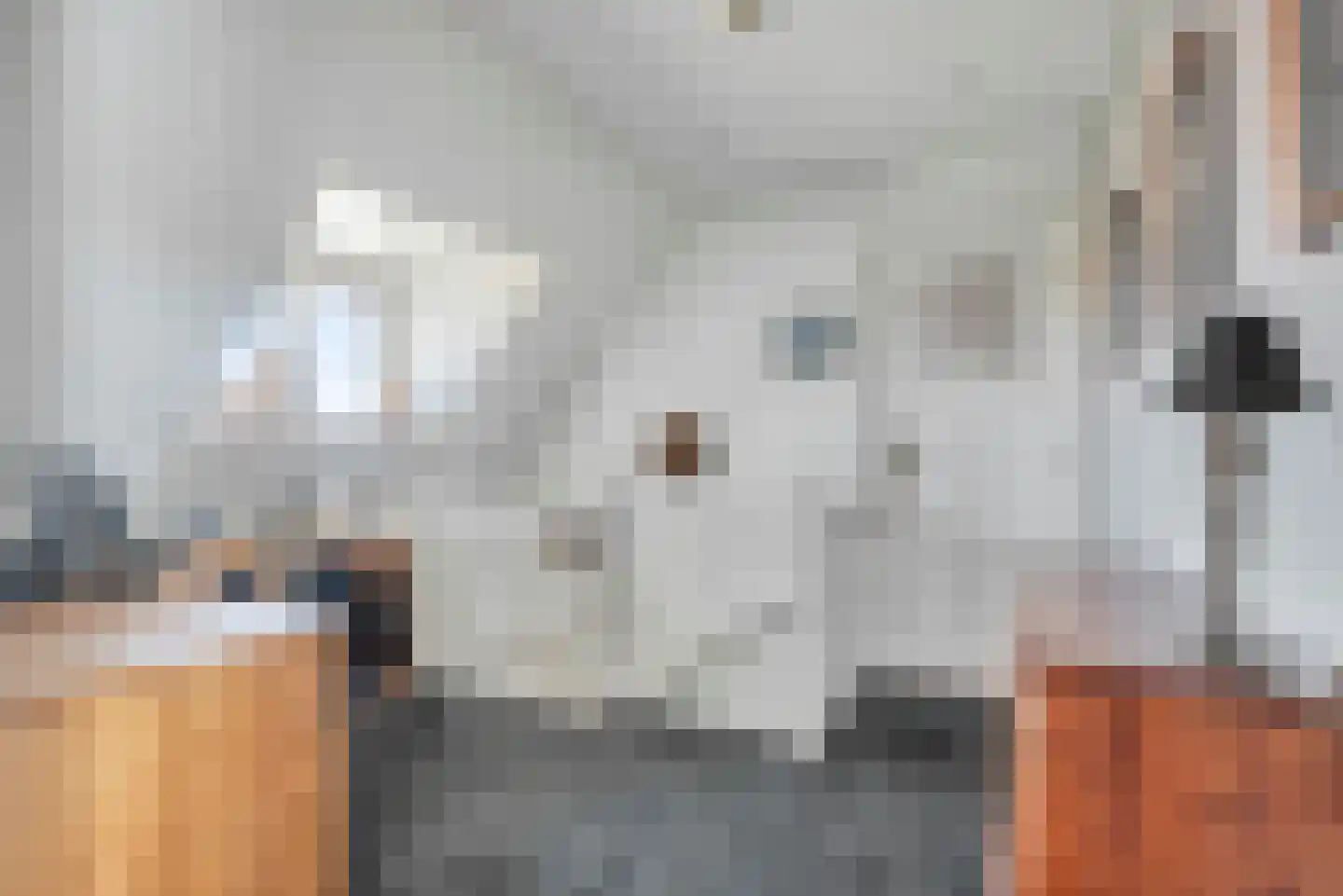 Astreastraat 3 Tolkamer thumbnail 19
