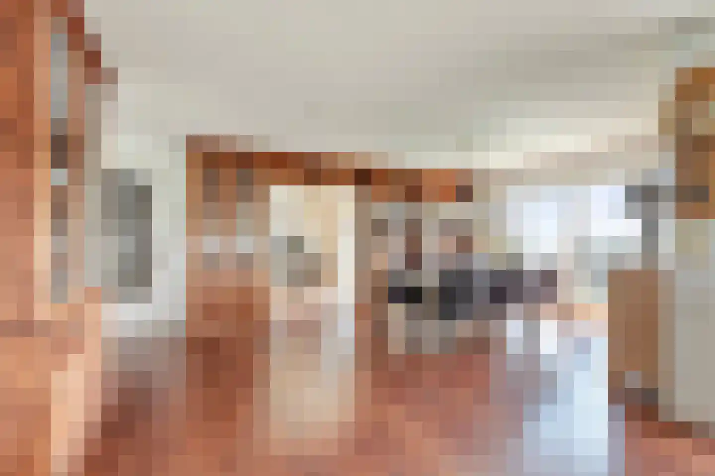 Astreastraat 3 Tolkamer thumbnail 25